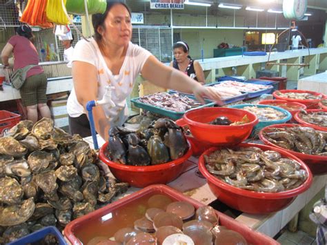 dampa philippines.